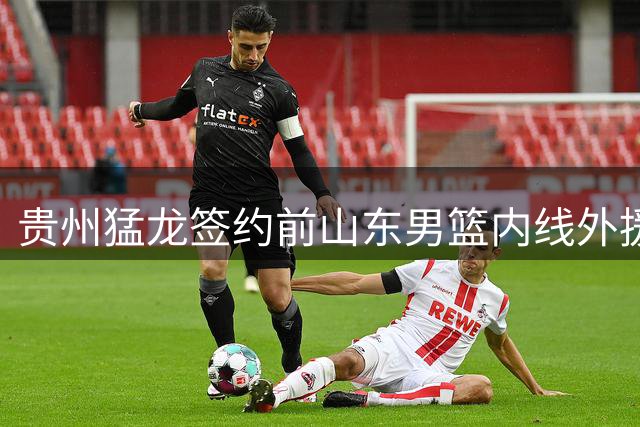 贵州猛龙签约前山东男篮内线外援萨夏·琼斯